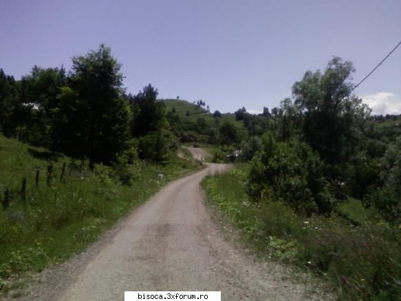 sa speram ca vor face ceva pentru ca e pacat ca bisocii sa dispara =( ce va place mai mult la bisoca