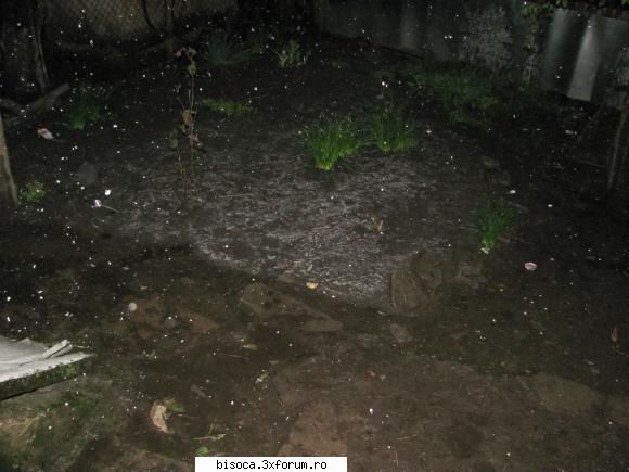 in aceasta seara 7.5.2011  la bisoca a inceput sa fulguie. ninsoare de mai
