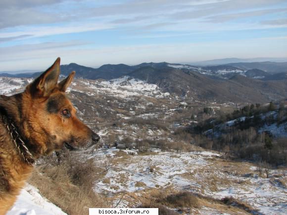 eu sunt in dealul bisocii - 960 m altitudine - podul mandru cum il stiu bisocenii. voi pe unde