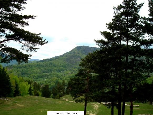 ~~~~~Poze noi~~~~` - spre seara la marginea padurii - Fotografii din Bisoca si din imprejurimi.