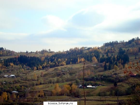 imi cer scuze fata de bisoceni daca la fiecare imagine nu sunt detaliate cu mentiuni despre