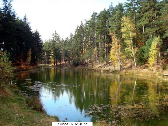 ~~~~~Poze noi~~~~` - MM - Fotografii din Bisoca si din imprejurimi.