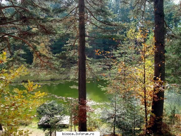 ~~~~~Poze noi~~~~` - lacul vazut din drum - Fotografii din Bisoca si din imprejurimi.