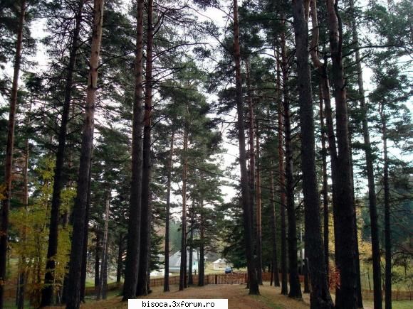 ~~~~~Poze noi~~~~` - la "nea Mitica" - Fotografii din Bisoca si din imprejurimi.