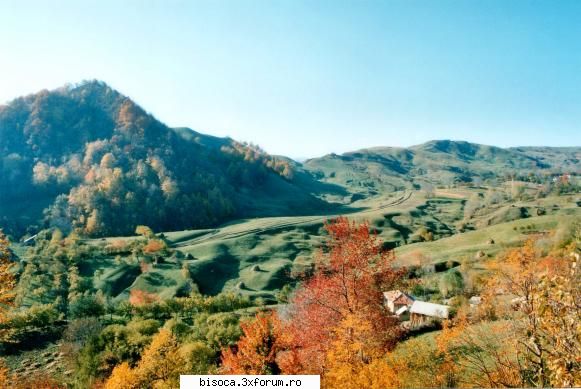 ~~~~~Poze noi~~~~` - natura, cel mai mare pictor - Fotografii din Bisoca si din imprejurimi.