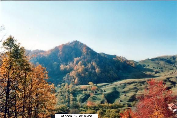 ~~~~~Poze noi~~~~` - MM - Fotografii din Bisoca si din imprejurimi.