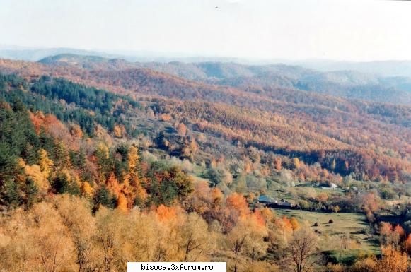 ~~~~~Poze noi~~~~` - MM - Fotografii din Bisoca si din imprejurimi.