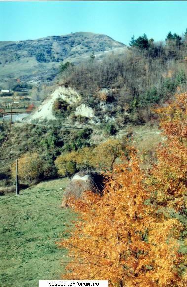~~~~~Poze noi~~~~` - Inca una si...... va veni iarna. Va rog - Fotografii din Bisoca si din imprejurimi.