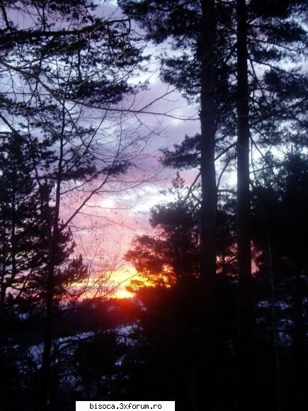 ~~~~~Poze noi~~~~` - rasarit de soare iarna - Fotografii din Bisoca si din imprejurimi.
