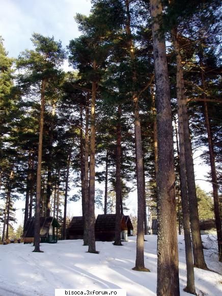 casute camping iarna ~~~~~poze noi~~~~`