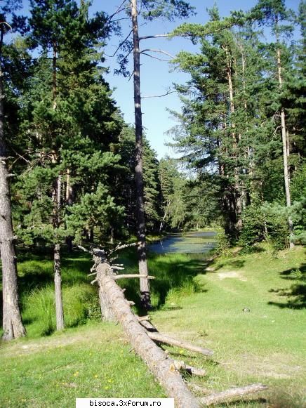 margine de lac ~~~~~poze noi~~~~`