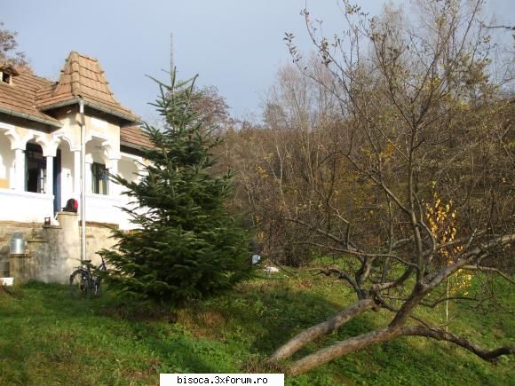 am fost acum 2 ani la bisoca, nu numai o data, caci imi place nespus de mult (as reveni mult mai des