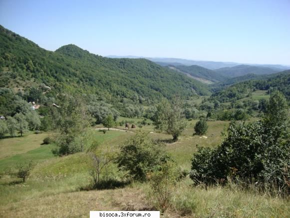 spre casa se vede, e undeva in salciile de in schimb este superb. in curand 