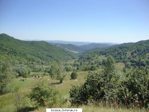 tot acolo. in curand 