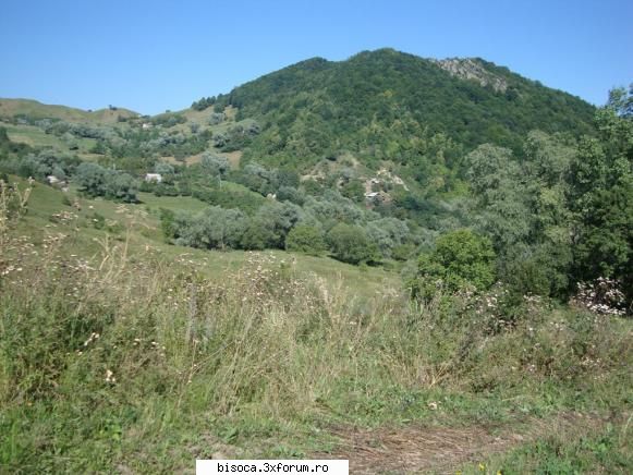 piatra se vede si de acolo in jos, dar pe vremea cind urcam acolo nu aveam aparat foto. in curand