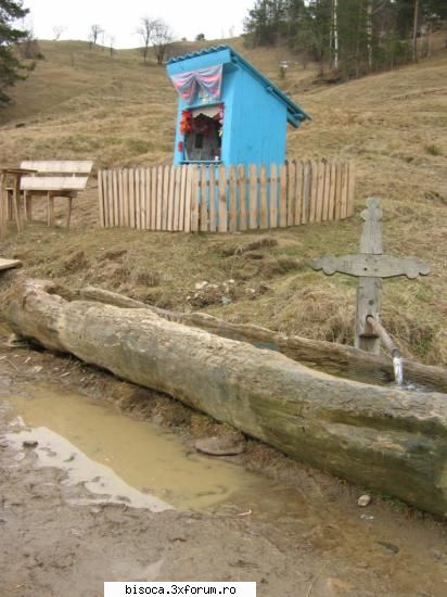 salutare tuturor
am fost si eu la bisoca in primavara asta, mi-a placut mult locul, sper sa revin.